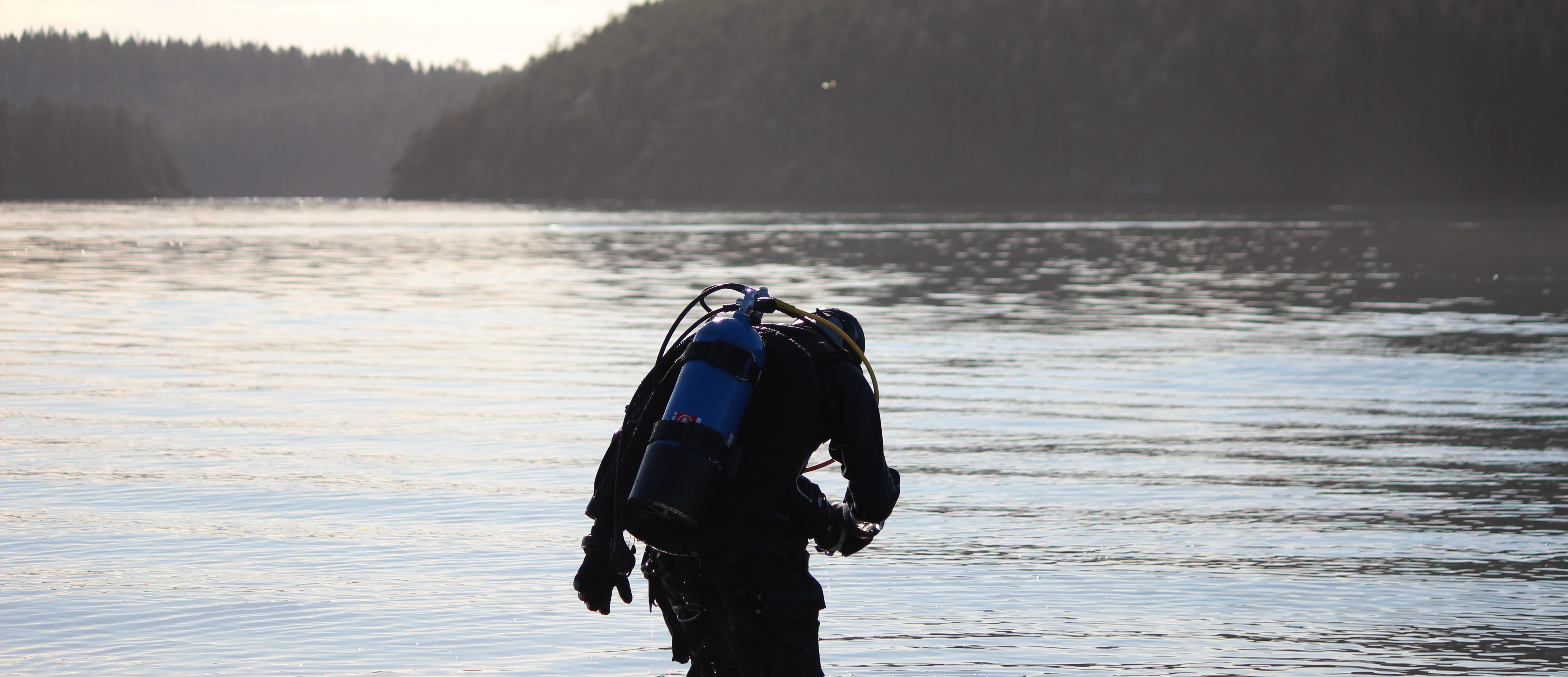 Commercial Diving Image